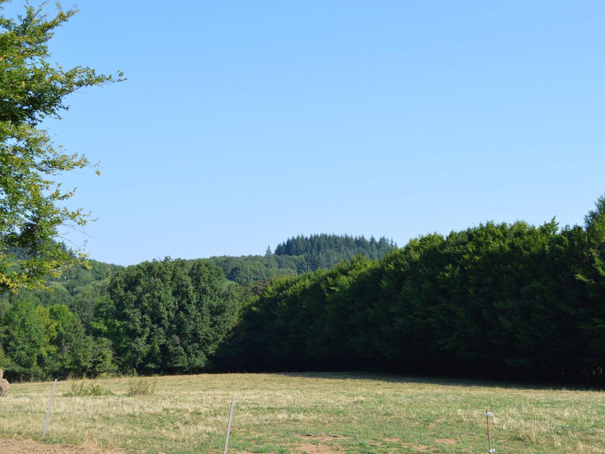 Grande Ferme Renovee Avec Jardin Et Loisirs A Proximite - Fr-1-591-155 Pouligny-Notre-Dame Exterior foto