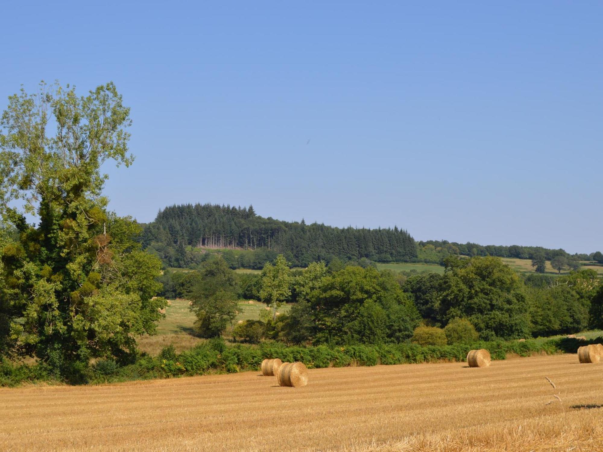 Grande Ferme Renovee Avec Jardin Et Loisirs A Proximite - Fr-1-591-155 Pouligny-Notre-Dame Exterior foto